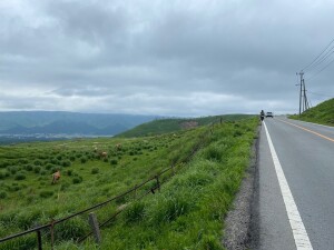 県道298号線