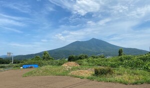 少し遠くから撮影した筑波山